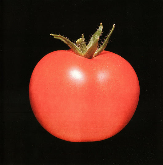 Chronophage - S/t LP