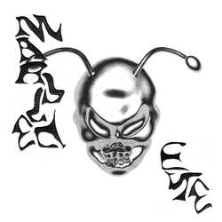 Marbled Eye - Forever 12