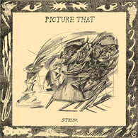 Picture That - Strum LP