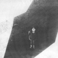 Field Commander Ali - The Next From Field Commander LP