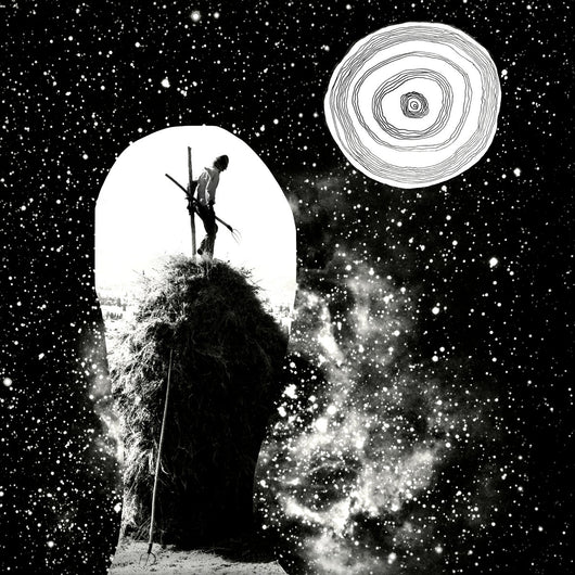 False Berries - Find the Gyres LP