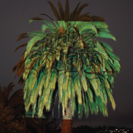 Watkins / Peacock - Acid Escape Vol. 3 LP (LTD version)